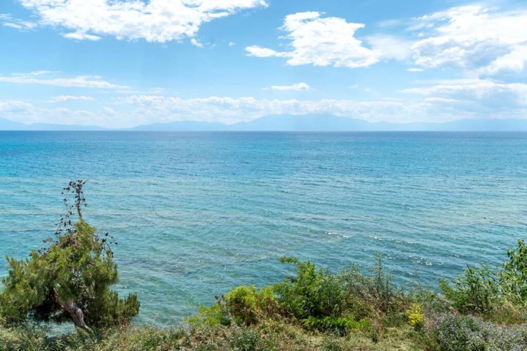 Endless Sea View House Villa เนอาอิรากลีอา ภายนอก รูปภาพ